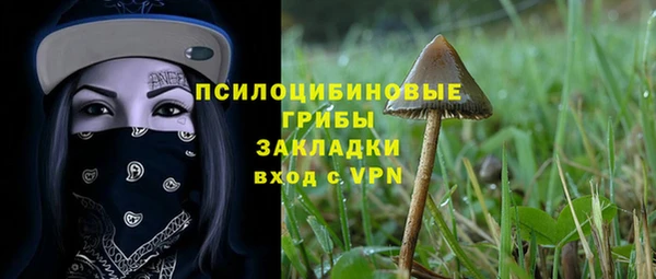амф Краснослободск
