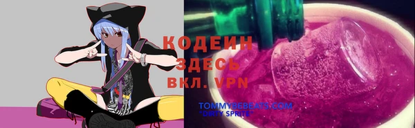 эйфоретик Корсаков