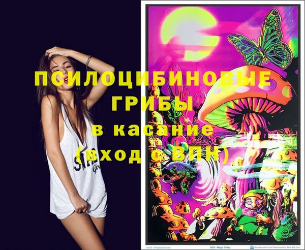 эйфоретик Корсаков