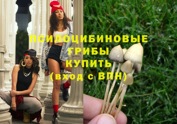 индика Красноперекопск